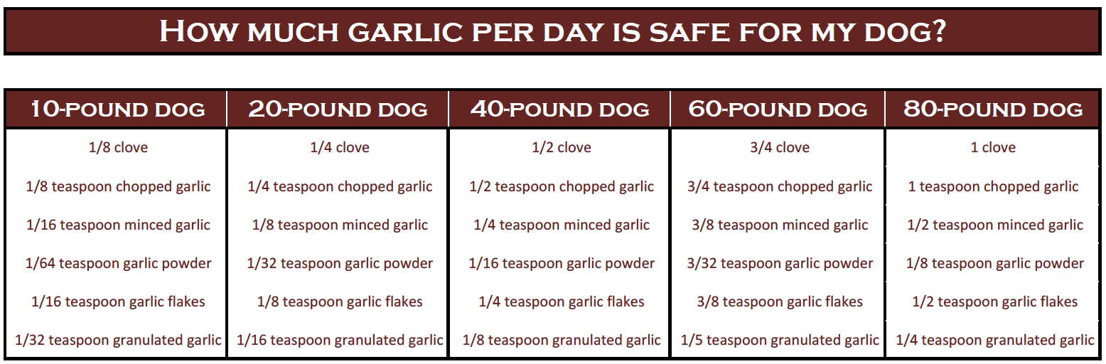 Is garlic toxic to dogs?